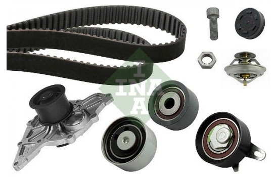 Water Pump & Timing Belt Set 530041631 Ina