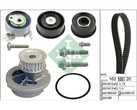 Water Pump & Timing Belt Set 530044330 Ina