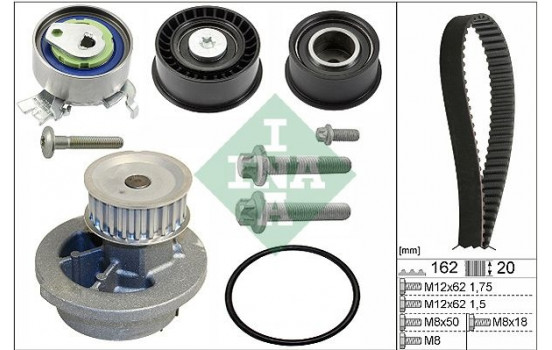 Water Pump & Timing Belt Set 530044330 Ina