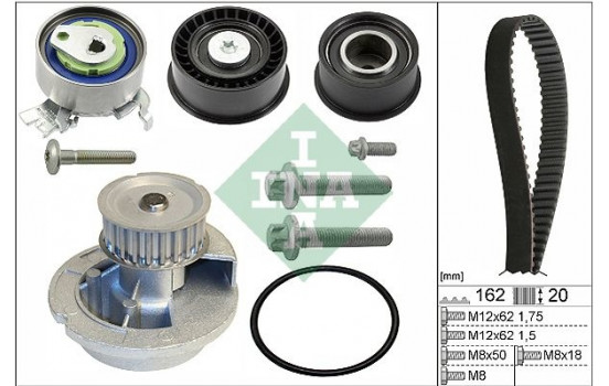 Water Pump & Timing Belt Set 530044331 Ina