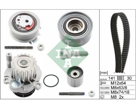 Water Pump & Timing Belt Set 530046330 Ina