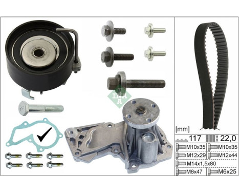 Water Pump & Timing Belt Set 530049530 Ina