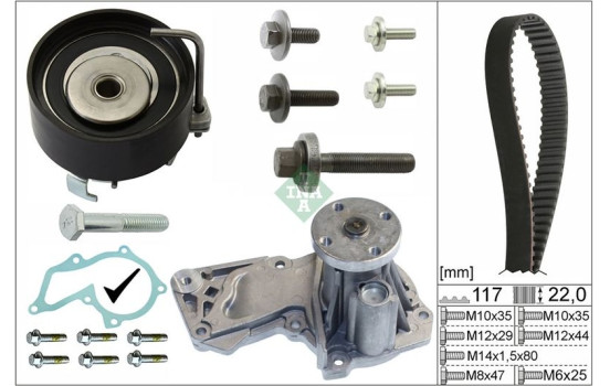 Water Pump & Timing Belt Set 530049530 Ina
