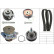 Water Pump & Timing Belt Set 530053830 Ina