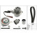 Water Pump & Timing Belt Set 530065030 Ina