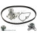Water Pump & Timing Belt Set ADG073755 Blue Print, Thumbnail 2