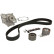 Water Pump & Timing Belt Set CT1010WP1 Contitech