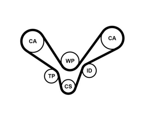 Water Pump & Timing Belt Set CT1015WP1 Contitech, Image 8