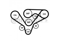 Water Pump & Timing Belt Set CT1015WP2PRO Contitech