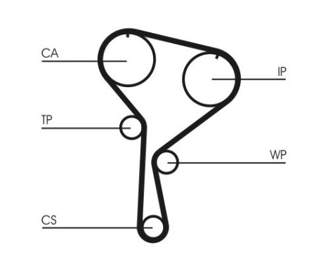 Water Pump & Timing Belt Set CT1035WP1 Contitech, Image 4