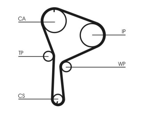 Water Pump & Timing Belt Set CT1064WP2 Contitech, Image 4