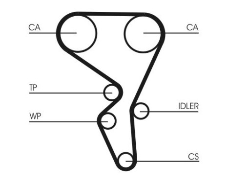 Water Pump & Timing Belt Set CT1065WP1 Contitech, Image 4
