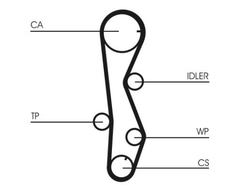 Water Pump & Timing Belt Set CT1099WP2 Contitech, Image 3