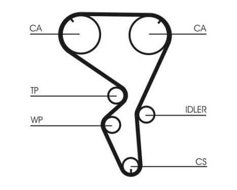 Water Pump & Timing Belt Set CT1101WP1 Contitech, Image 5