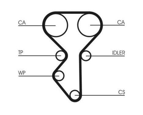 Water Pump & Timing Belt Set CT1137WP1 Contitech, Image 2
