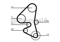 Water Pump & Timing Belt Set CT1163WP1 Contitech