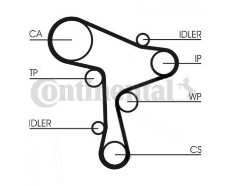 Water Pump & Timing Belt Set CT1168WP1 Contitech, Image 9