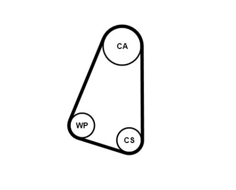 Water Pump & Timing Belt Set CT504WP1 Contitech, Image 5