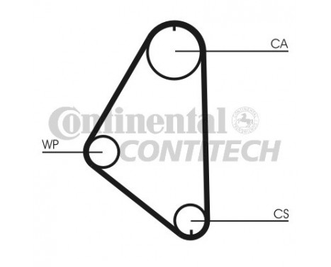 Water Pump & Timing Belt Set CT558WP1 Contitech, Image 2
