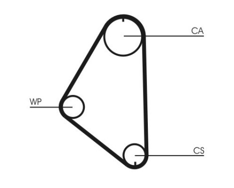 Water Pump & Timing Belt Set CT558WP1 Contitech, Image 4