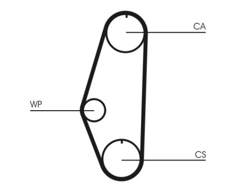 Water Pump & Timing Belt Set CT629WP1 Contitech, Image 5