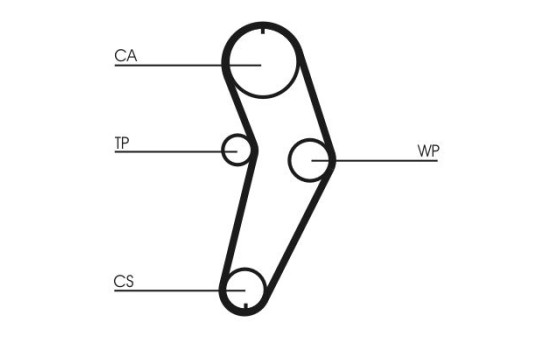 Water Pump & Timing Belt Set CT709WP1 Contitech, Image 4