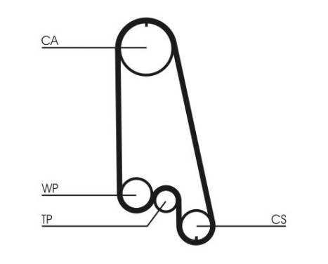 Water Pump & Timing Belt Set CT874WP2 Contitech, Image 7
