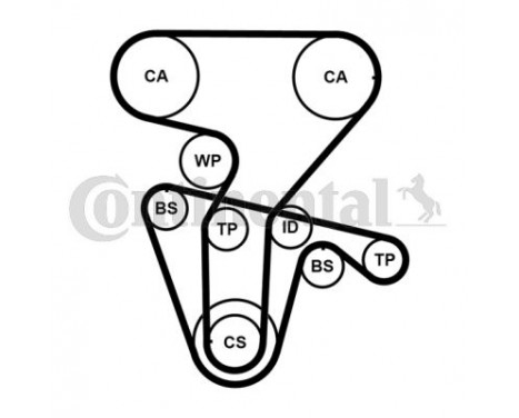 Water Pump & Timing Belt Set CT877WP4PRO Contitech