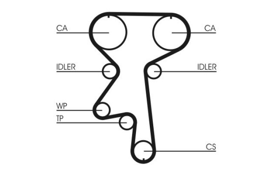 Water Pump & Timing Belt Set CT924WP1 Contitech, Image 4