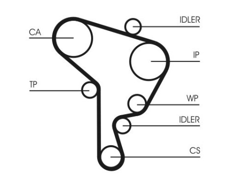 Water Pump & Timing Belt Set CT946WP2 Contitech, Image 2
