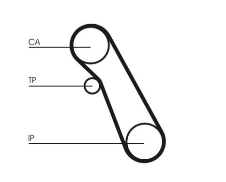 Water Pump & Timing Belt Set CT983WP1 Contitech, Image 2