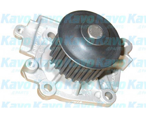 Water Pump & Timing Belt Set DKW-5501 Kavo parts, Image 2