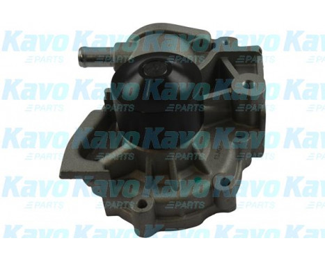 Water Pump & Timing Belt Set DKW-8002 Kavo parts, Image 2