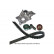 Water Pump & Timing Belt Set DKW-9005 Kavo parts, Thumbnail 2