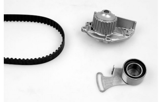 Water Pump & Timing Belt Set PK00450 Hepu