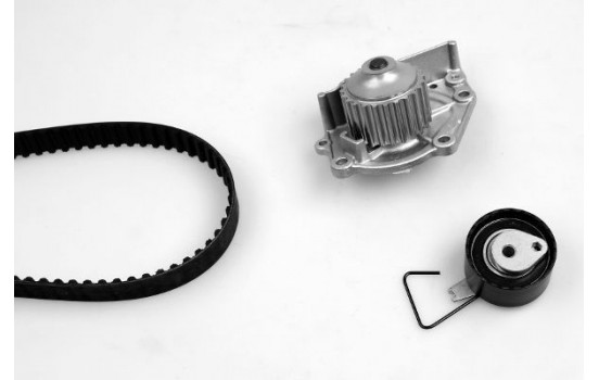 Water Pump & Timing Belt Set PK00451 Hepu