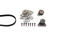 Water Pump & Timing Belt Set PK00566 Hepu