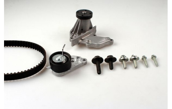Water Pump & Timing Belt Set PK02350 Hepu