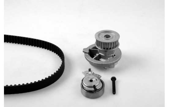 Water Pump & Timing Belt Set PK03141 Hepu