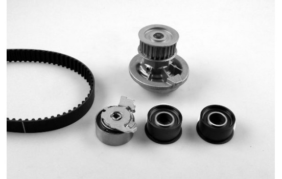 Water Pump & Timing Belt Set PK03163 Hepu