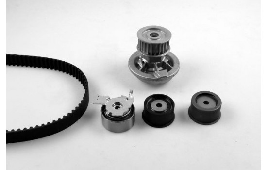 Water Pump & Timing Belt Set PK03165 Hepu