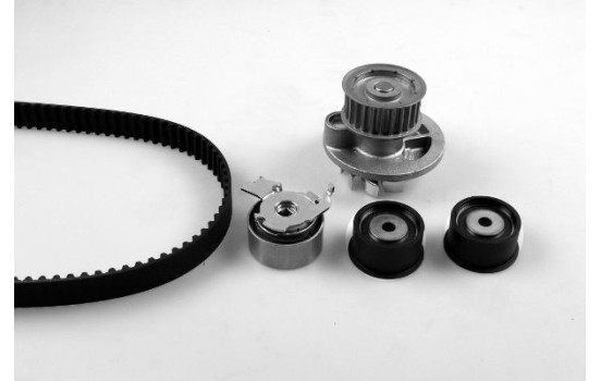 Water Pump & Timing Belt Set PK03281 Hepu
