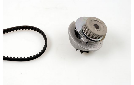Water Pump & Timing Belt Set PK03881 Hepu