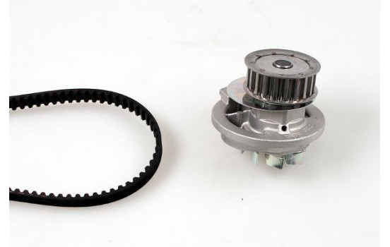Water Pump & Timing Belt Set PK03980 Hepu