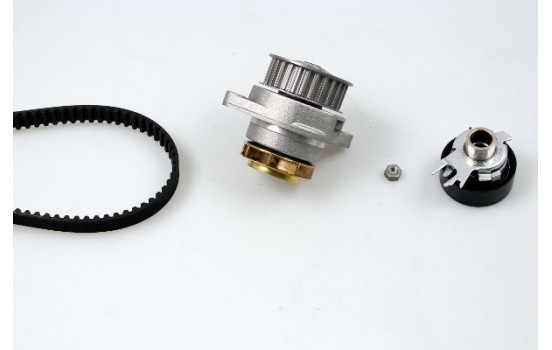 Water Pump & Timing Belt Set PK05402 Hepu