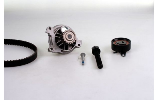 Water Pump & Timing Belt Set PK06161 Hepu