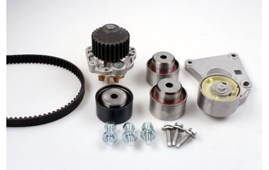 Water Pump & Timing Belt Set PK08020 Hepu