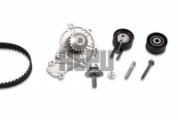 Water Pump & Timing Belt Set PK08030 Hepu
