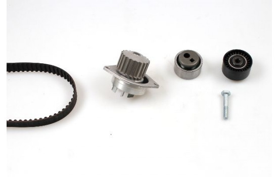 Water Pump & Timing Belt Set PK08120 Hepu