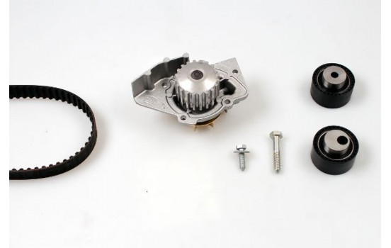 Water Pump & Timing Belt Set PK08411 Hepu